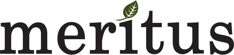 Meritus Capital_idsJasNVBN_0